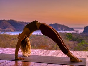 15 Day Wellness, Eco-Luxury Yoga Retreat In Paradise, San, 45% OFF