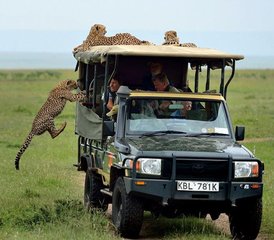 6 Day Samburu & Masai Mara Mid Range Cultural Safari in Kenya - Photo 2