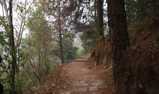 Budhanilkantha Retreats und Reisen