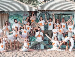 22 Day 200-Hour Multi Style Yoga Teacher Training in Bali, Indonesia