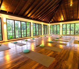 6 Tage Yin- und Yang-Yoga Intensivkurs Retreat in Galle, Sri Lanka - Photo 4