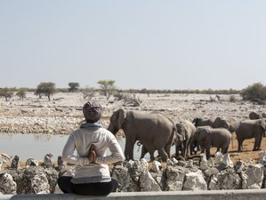10 jours d'âme sauvage : safari de yoga à travers la Namibie