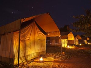 8 Days African Adventure and Safari in Uganda