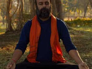100-Hour Online Divine Engineering Transformational Yoga Teacher Training Program 