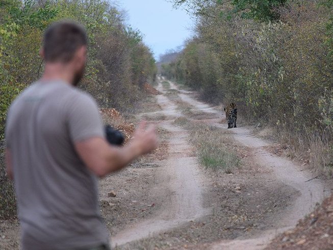 4 Day Kaa Iya del Gran Chaco National Park Jaguar and Big Mammal