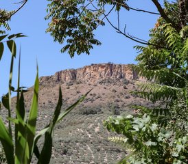 6 Day Psilocybin Mushroom Retreat with Somatic and Trauma-Informed Integration in Andalusia, Spain - Photo 2