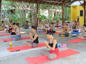11 Day Celebration, Active Meditation, and Yoga Retreat Koh Phangan