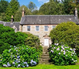 74 Day Yoga, Mindfulness, and Walking Retreat in Loch Lomond, Scotland, UK - Photo 1
