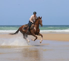 4 Day Horse Riding Weekend in the Landes, France - Photo 2