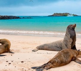88 jours aventure nature, culture et faune entre l’Équateur continental et les îles Galápagos, Équateur - Photo 1