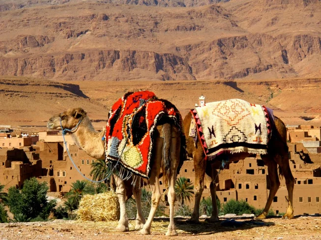6 Day Mini Mountain & Desert | Guided Off-road Motorcycle Tour in Morocco photo 7