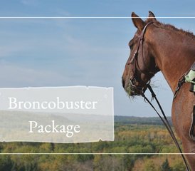 7 Tage Broncobuster Paket Geführter Trail Reiturlaub in Rossburn, Manitoba, Kanada - Photo 2