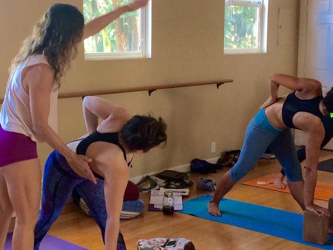 300Hr Hybrid: Self-Paced Online and 22 Day Yoga Teacher Training