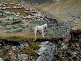 Maremma Retraites en Reizen