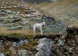 Maremma Retraites en Reizen