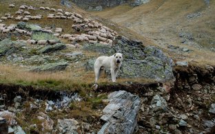 Maremma Retreats und Reisen