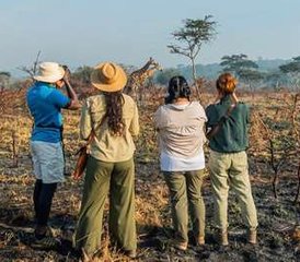 28-Daagse Oegandese Safari Kibale Queen Elizabeth Bwindi Impenetrable en Lake Mburo Nationale Parken - Photo 1