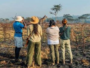 8 Tage Ugandische Safari: Kibale-, Queen-Elizabeth-, Bwindi-Impenetrable- und Lake-Mburo-Nationalparks