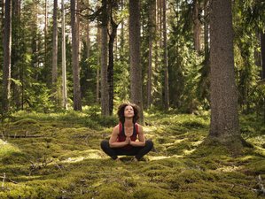 6 Day Wild Forest Retreat with Yoga and Meditation in Skinnskatteberg