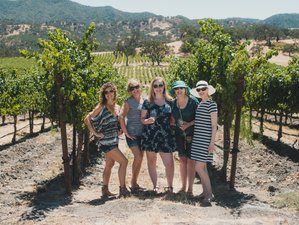 4 Days Wine Tasting and Yoga Holiday in California - BookYogaRetreats.com