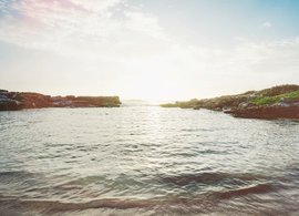 Akumal Retreats & Trips