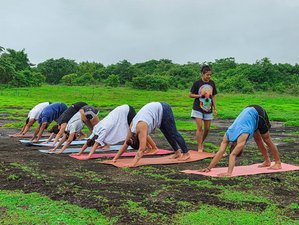 Formation de professeur de yoga Hatha, Ashtanga, Vinyasa et méditation de 500 heures sur 56 jours à Goa, en Inde