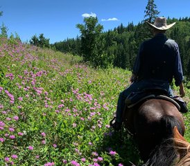 7 Tage Broncobuster Paket Geführter Trail Reiturlaub in Rossburn, Manitoba, Kanada - Photo 3