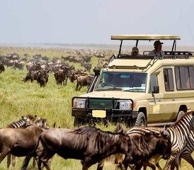 3-Daagse Groepssafari met Kamperen in Maasai Mara, Kenia met Dagelijkse Vertrekken - Photo 3