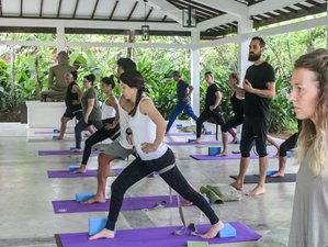 11 Day Detox and Yoga Holiday in Kalutara, Western Province