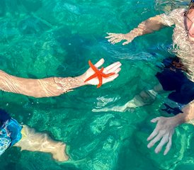 7-Daagse Natuur- en Avontuurlijke Vakantie aan de Kust van Montenegro met Kajakken, Wandelen en Meer - Photo 5