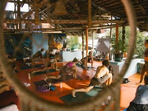 28 Day 200-Hour Vinyasa / Hatha Yoga TTC (Ayurveda, Pranayama, Meditation, Yin) in Kerala, India