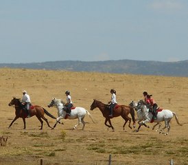 7 Day Four Valleys Horse Riding Tour in Spain - Photo 4