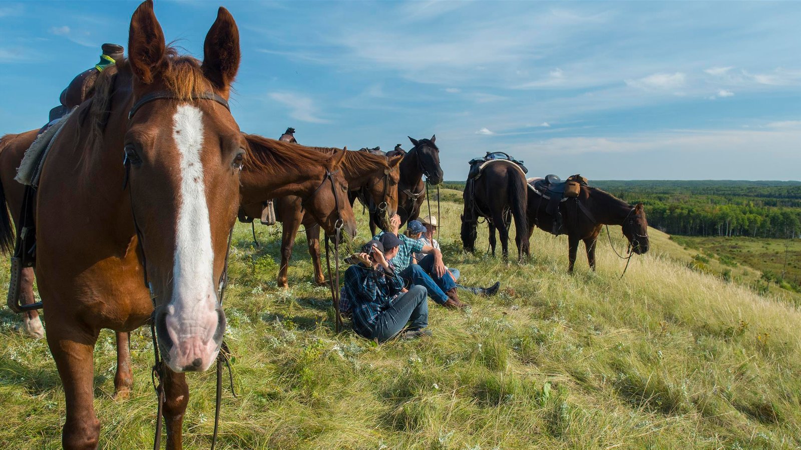 9 Finger Ranch Bild