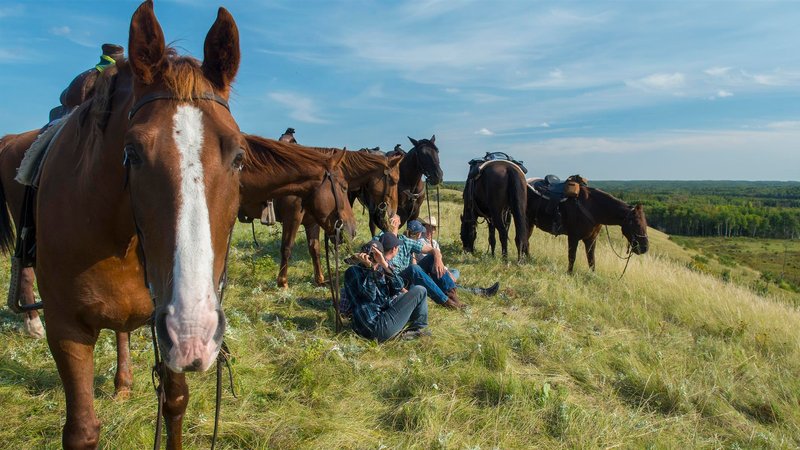 2 Day Greenhorn Package: Beginners Horse Riding Getaway in Rossburn, Manitoba