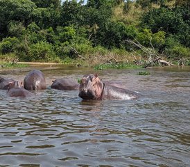 10 Tage Erstaunliches Abenteuer Private Safari in Kenia - Photo 2