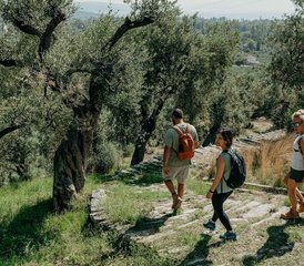 7 Tage Yoga und Wandern Urlaub in Pelion, Griechenland - Photo 3