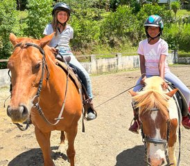97 jours séjour familial tout compris horsemanship naturel et yoga à Tucurrique, Costa Rica - Photo 1