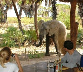 82-Daagse Groeps Budget Tour in Amboseli National Park, Kenia - Photo 1