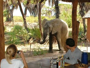 2 Day Group Budget Tour in Amboseli National Park