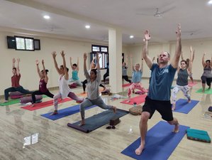24 Day 200-Hour Yoga Teacher Training in Rishikesh, Uttarakhand, India