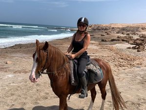 8 Tage Komfort-Tour: Reiten und Yoga im Hohen Atlasgebirge und an den Stränden in Marokko
