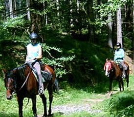 3 jours en stage d’équitation au cœur des montagnes centrales de Bohême, Litoměřice, République tchèque - Photo 3
