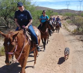 3 jours de séjour ranch et équitation à Elgin, Arizona, USA - Photo 2