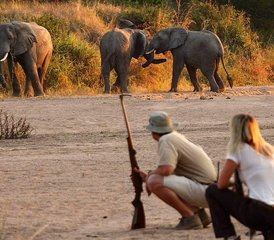 112 Tage Tansania Safari von Sansibar nach Tarangire und Ngorongoro - Photo 1
