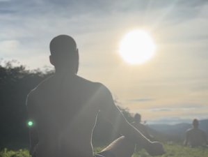 6 Day Summer Reset: Immersive Psychedelic Therapy Retreat in Basque Country, Spain
