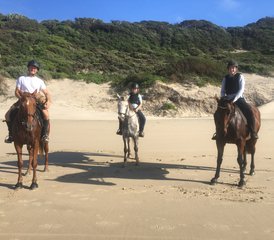 94-Daagse Privé Paardrijvakantie met Tom and Tori Horse and Heart aan de Wild Coast, Zuid-Afrika - Photo 1