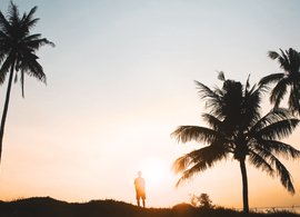 Canggu Beach Retreats & Trips