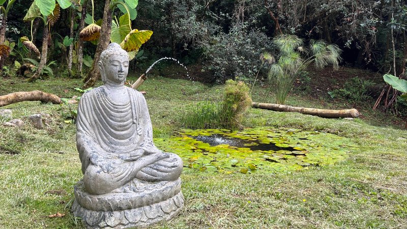 7 Day Meditation Retreat for Clarity in Colombian Mountains