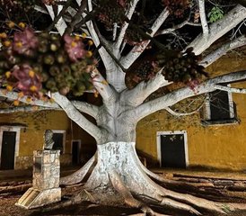 8 días de profesorado de 100 horas en chakra vinyasa, alineación y meditación en Mérida - Photo 4