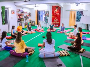 24 Day 200-Hour Yoga Teacher Training Course in Rishikesh